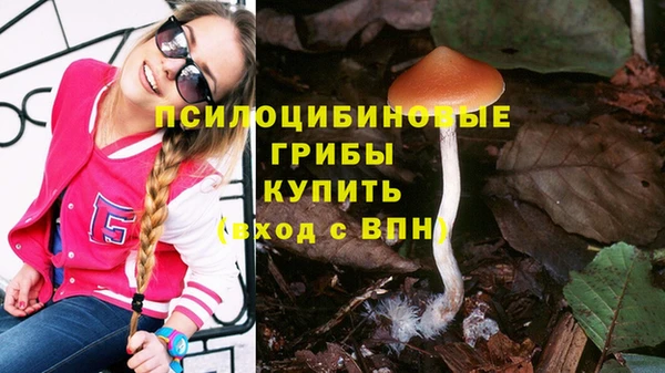 MDMA Гусь-Хрустальный
