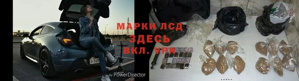 дурь Гусиноозёрск