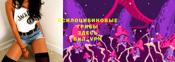 дмт Костерёво